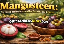 mangosteen