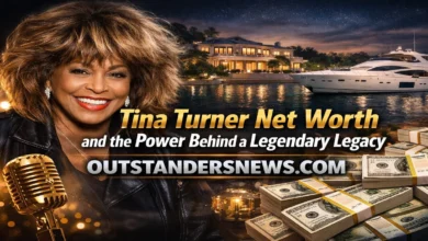 Tina Turner Net Worth